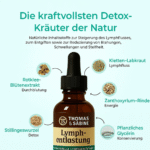 Lymphdrainage Wellness Tropfen – Bild 4